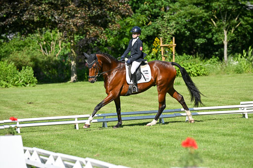  | 13062025 Dressur _0323 