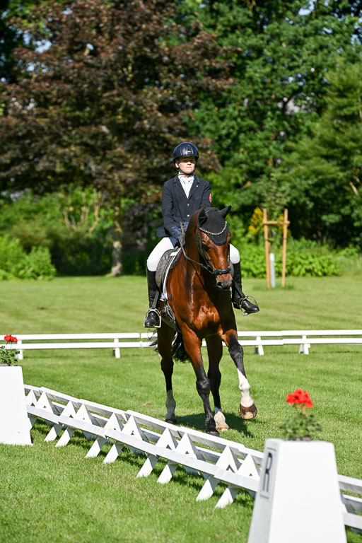  | 13062025 Dressur _0324 