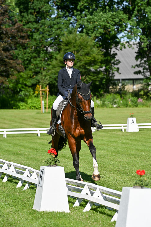  | 13062025 Dressur _0325 