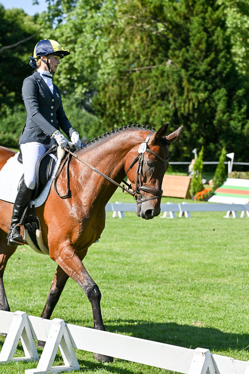  | 13062025 Dressur _0481 