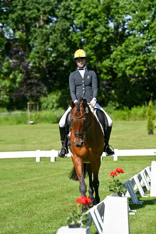  | 13062025 Dressur _0484 