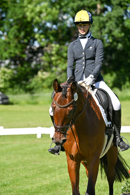  | 13062025 Dressur _0486 