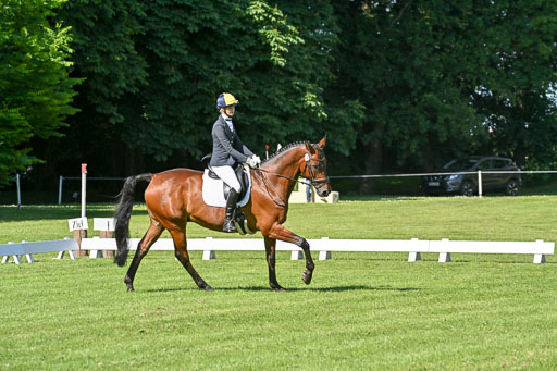  | 13062025 Dressur _0491 