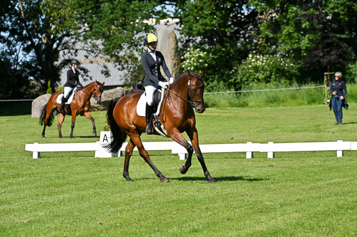  | 13062025 Dressur _0492 