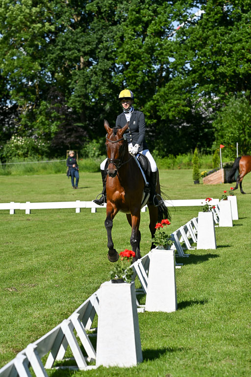  | 13062025 Dressur _0493 