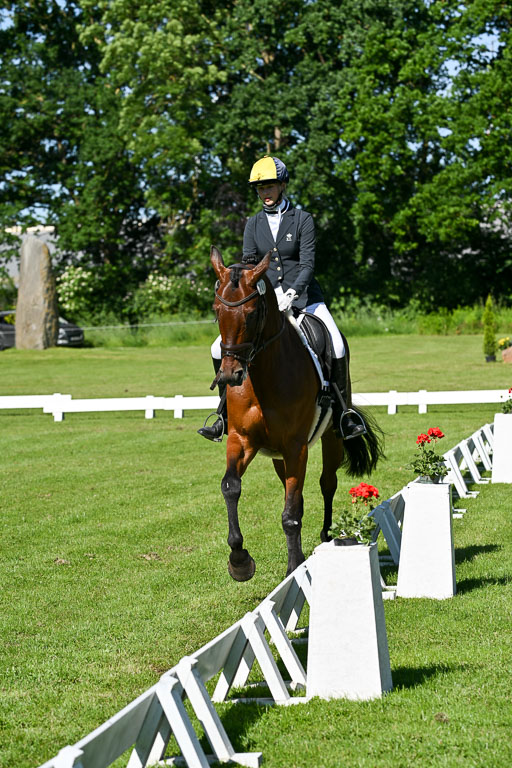  | 13062025 Dressur _0494 