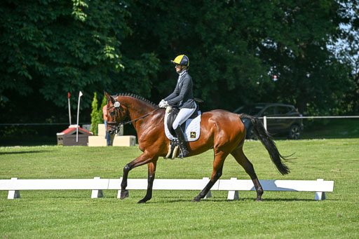  | 13062025 Dressur _0497 