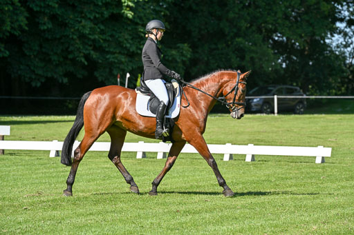  | 13062025 Dressur _0506 