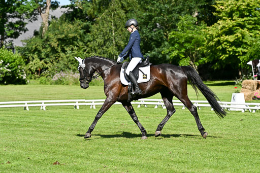  | 13062025 Dressur _0507 