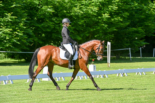  | 13062025 Dressur _0508 
