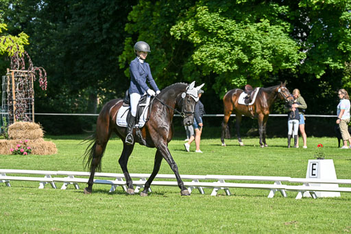  | 13062025 Dressur _0511 