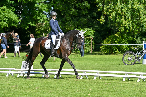  | 13062025 Dressur _0512 