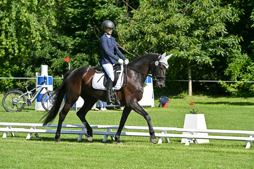  | 13062025 Dressur _0513 