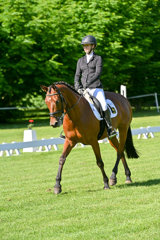  | 13062025 Dressur _0519 