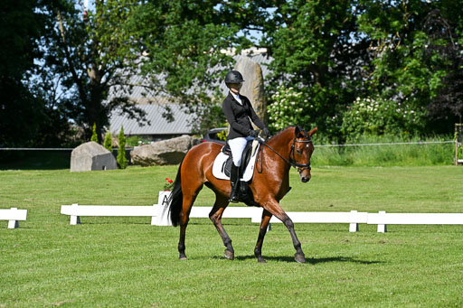  | 13062025 Dressur _0526 