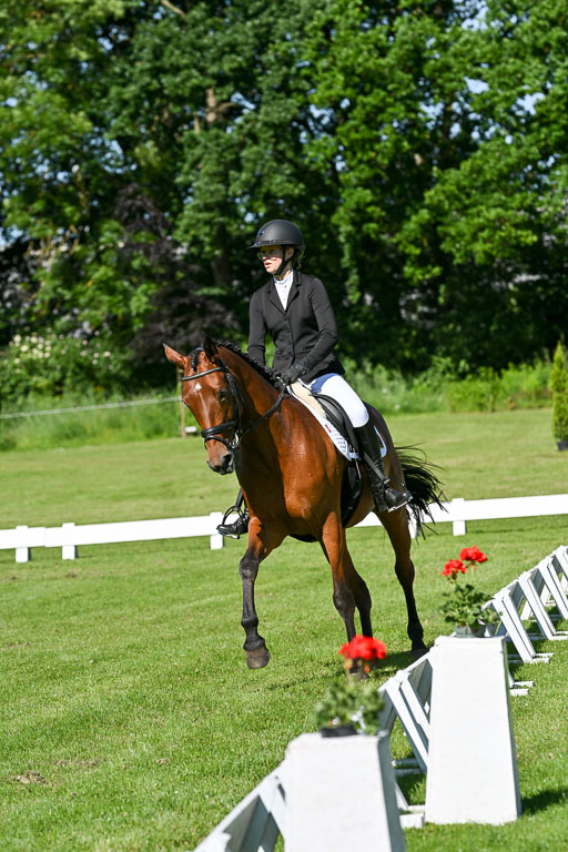  | 13062025 Dressur _0527 