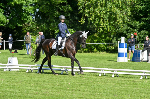  | 13062025 Dressur _0532 