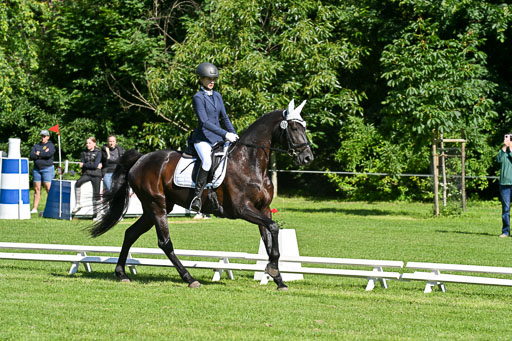  | 13062025 Dressur _0533 