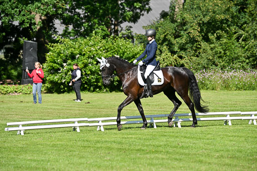  | 13062025 Dressur _0534 