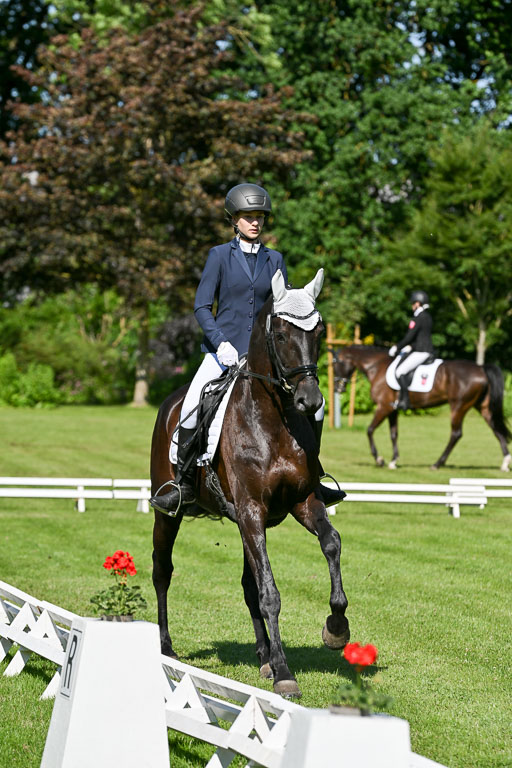  | 13062025 Dressur _0539 