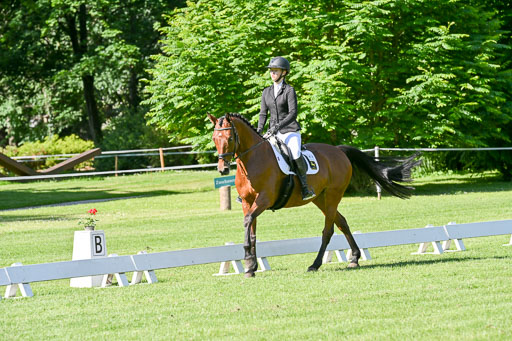  | 13062025 Dressur _0540 