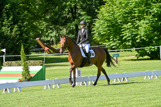  | 13062025 Dressur _0541 