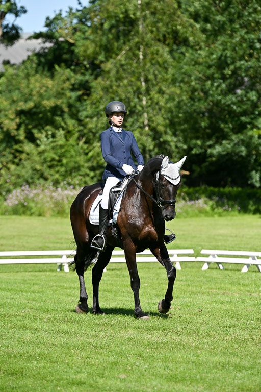  | 13062025 Dressur _0543 