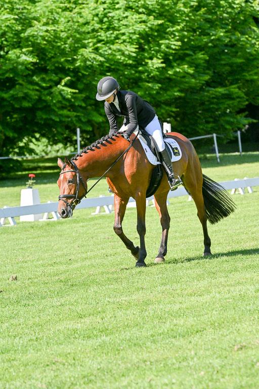  | 13062025 Dressur _0552 