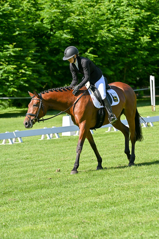  | 13062025 Dressur _0553 