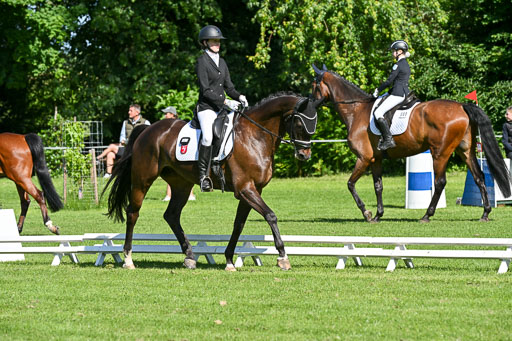  | 13062025 Dressur _0555 