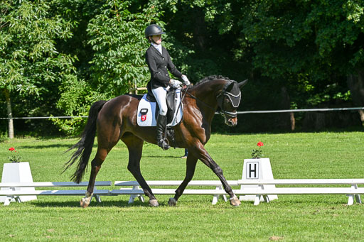  | 13062025 Dressur _0556 