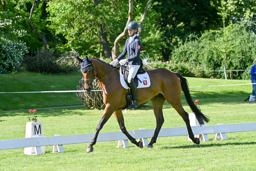  | 13062025 Dressur _0557 