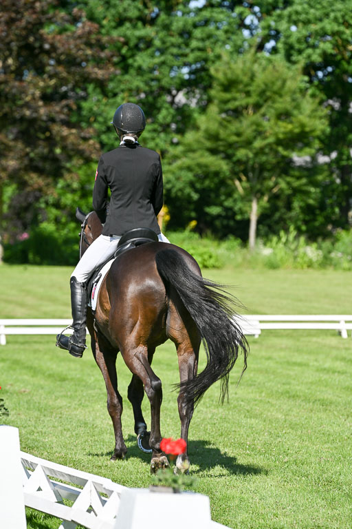  | 13062025 Dressur _0558 