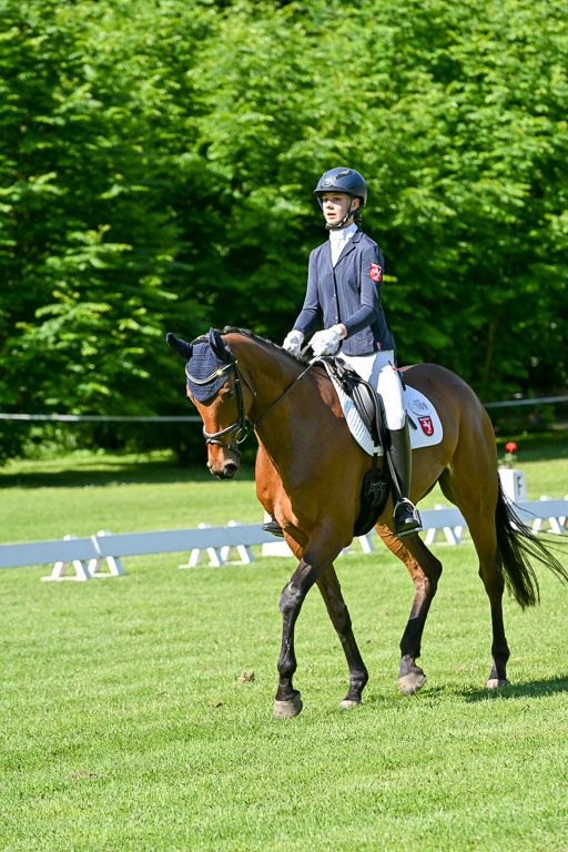  | 13062025 Dressur _0564 