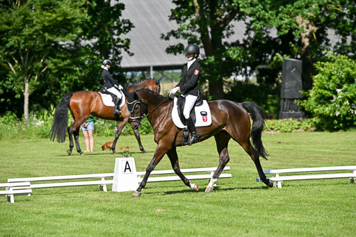  | 13062025 Dressur _0582 