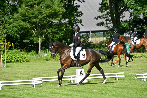  | 13062025 Dressur _0584 