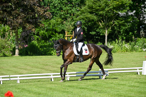  | 13062025 Dressur _0585 