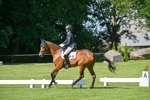  | 13062025 Dressur _0586 