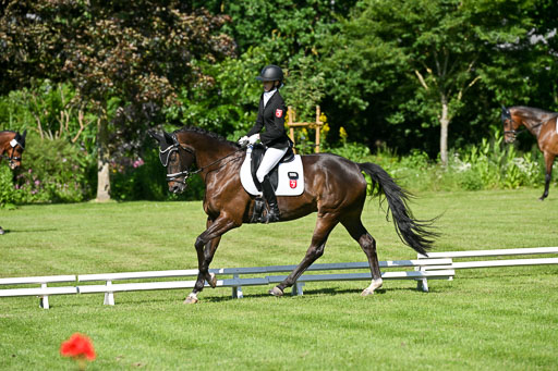  | 13062025 Dressur _0588 