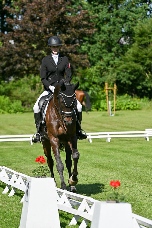  | 13062025 Dressur _0590 