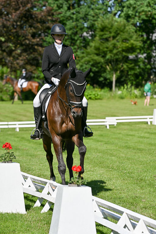  | 13062025 Dressur _0591 