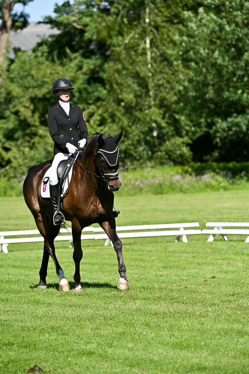  | 13062025 Dressur _0593 
