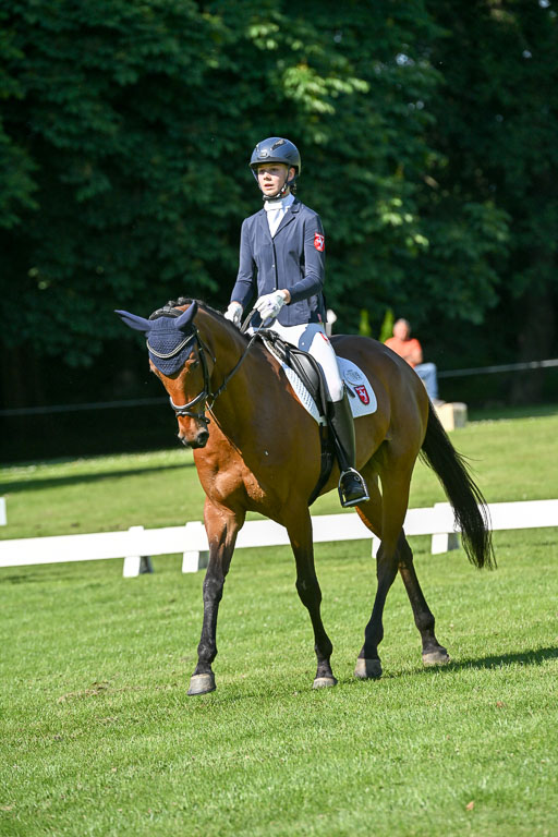  | 13062025 Dressur _0594 