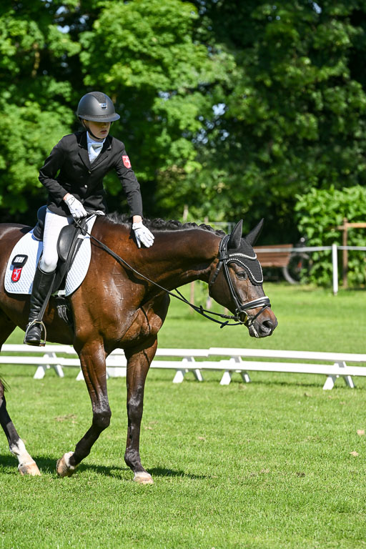  | 13062025 Dressur _0596 