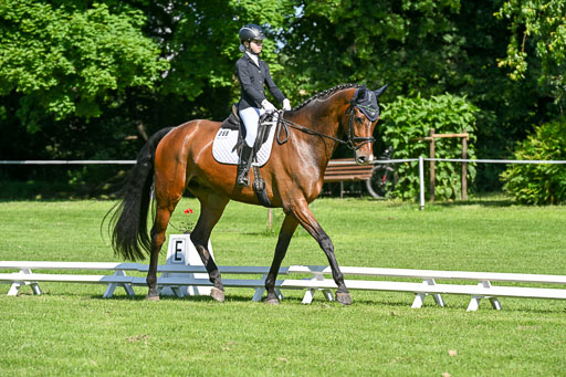  | 13062025 Dressur _0598 