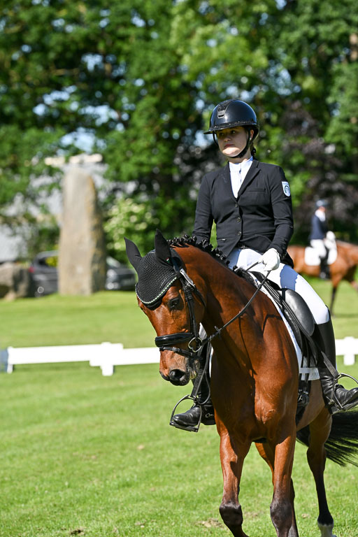  | 13062025 Dressur _0599 