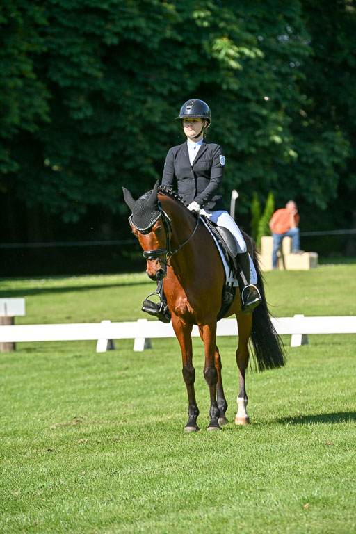  | 13062025 Dressur _0601 