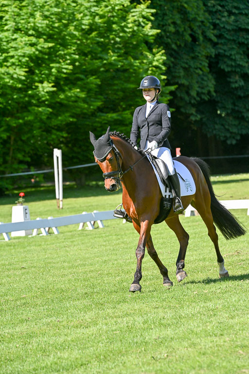  | 13062025 Dressur _0602 