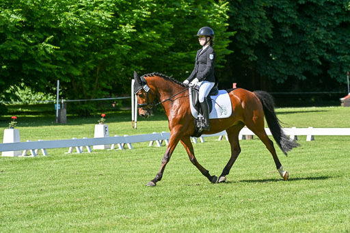  | 13062025 Dressur _0605 