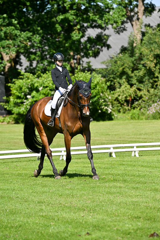  | 13062025 Dressur _0606 